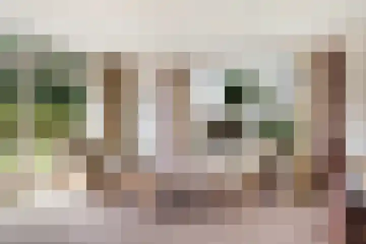 Poelruit 2 Buitenpost thumbnail 12