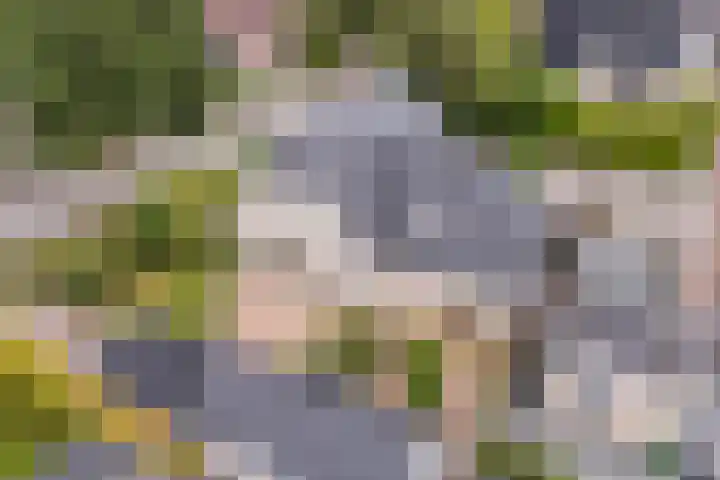 Poelruit 2 Buitenpost foto 2