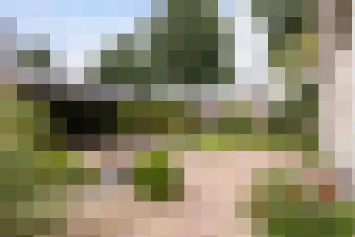 Poelruit 2 Buitenpost thumbnail 20