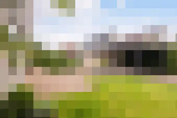 Poelruit 2 Buitenpost thumbnail 21