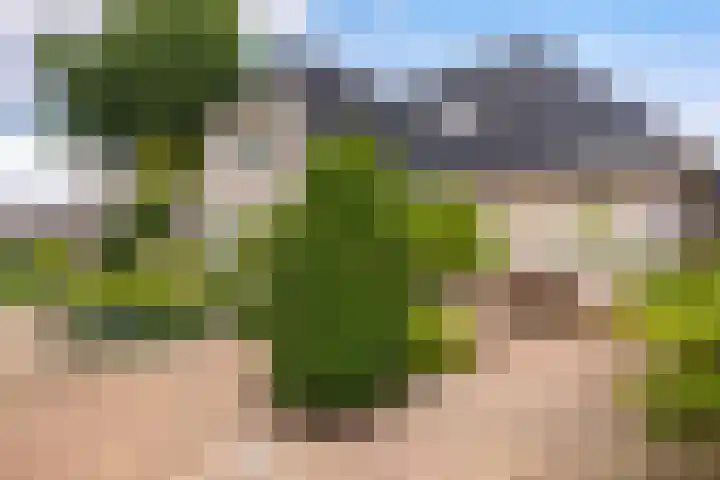 Poelruit 2 Buitenpost thumbnail 23
