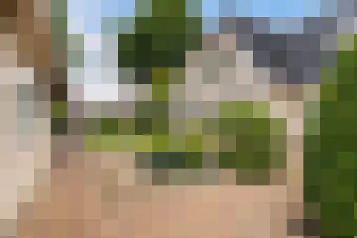 Poelruit 2 Buitenpost thumbnail 24