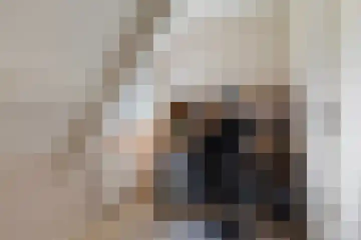 Poelruit 2 Buitenpost thumbnail 29