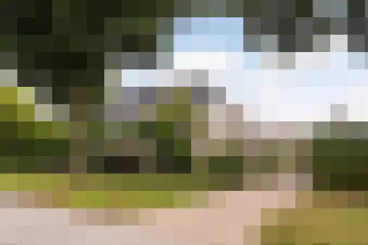 Poelruit 2 Buitenpost foto 3