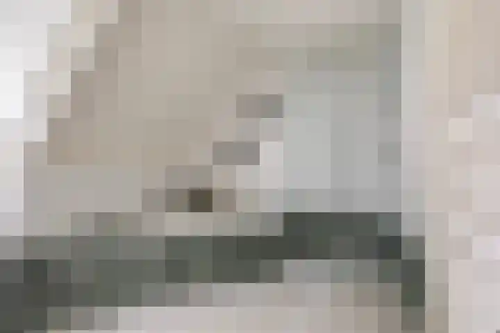 Poelruit 2 Buitenpost thumbnail 32