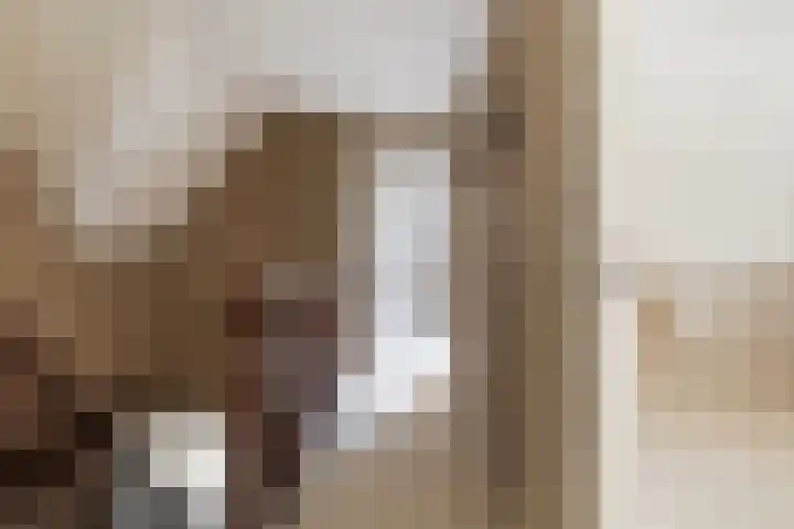Poelruit 2 Buitenpost thumbnail 34