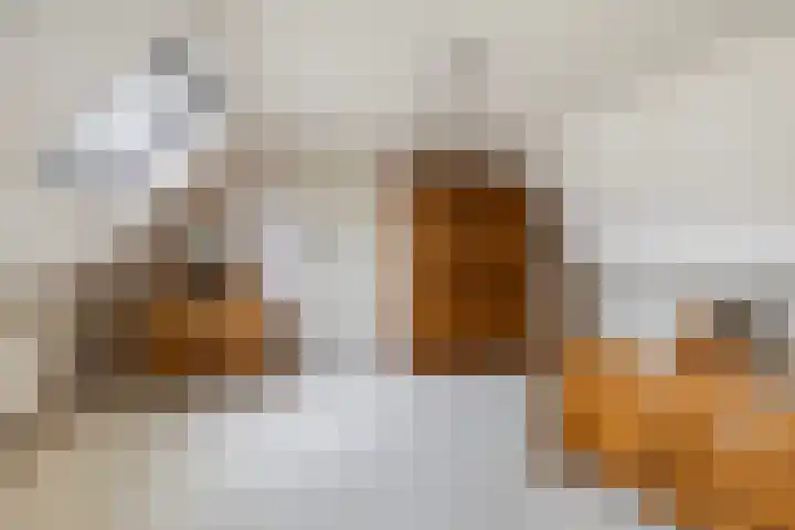 Poelruit 2 Buitenpost thumbnail 38