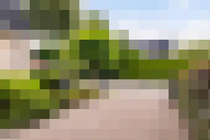 Poelruit 2 Buitenpost thumbnail 42