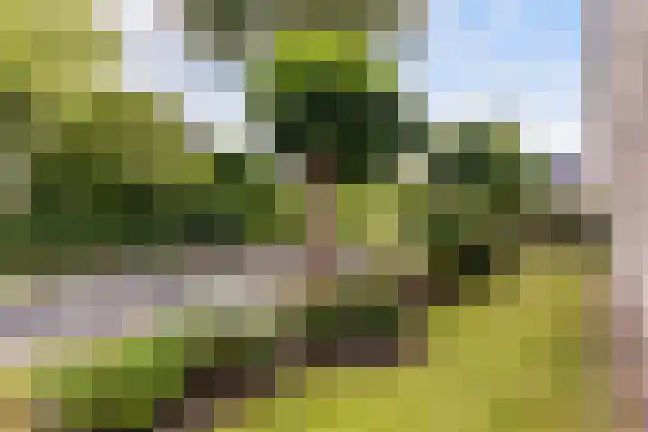Poelruit 2 Buitenpost thumbnail 47