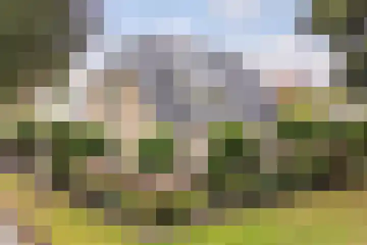 Poelruit 2 Buitenpost thumbnail 48
