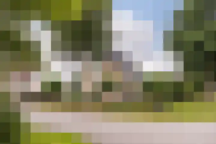 Poelruit 2 Buitenpost thumbnail 5