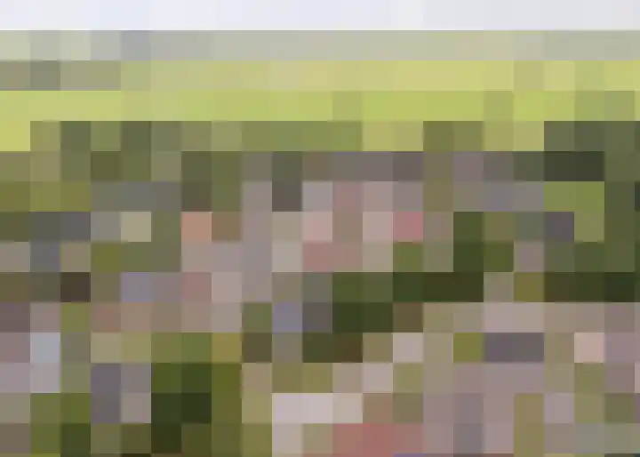 Poelruit 2 Buitenpost thumbnail 50