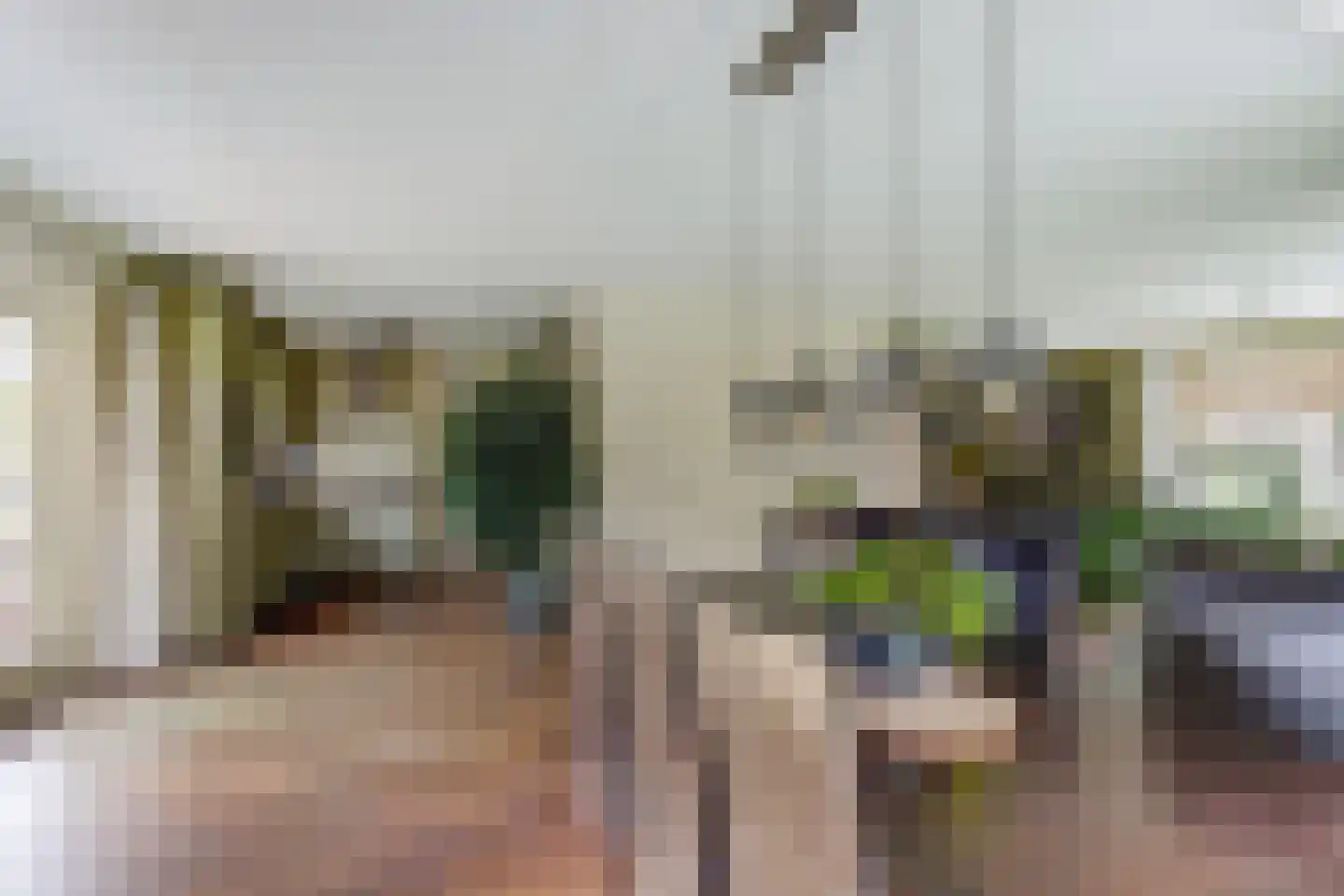 Poelruit 35 Buitenpost thumbnail 10