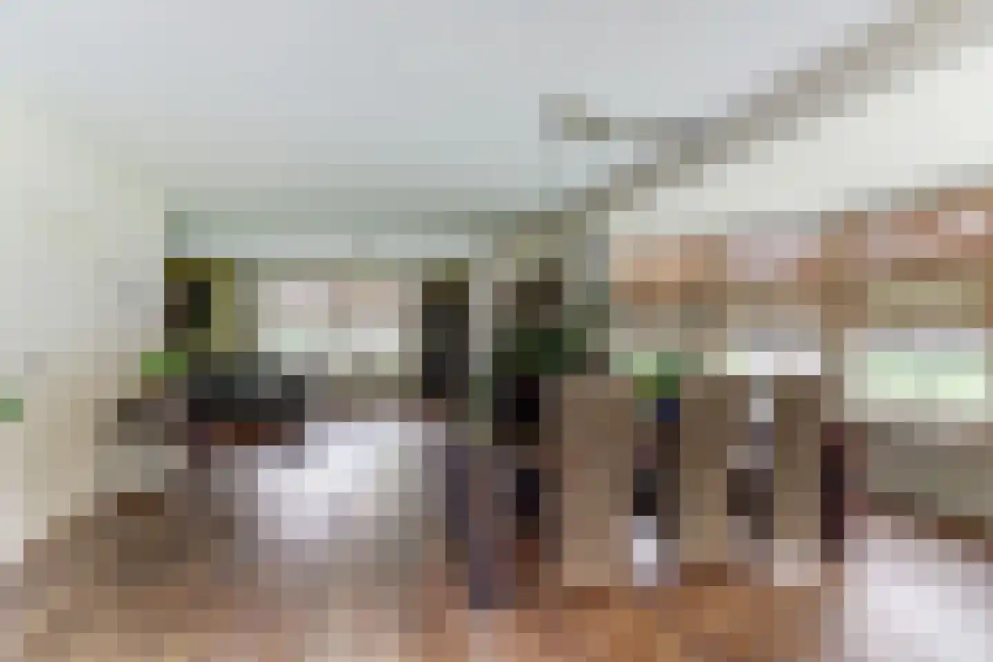 Poelruit 35 Buitenpost thumbnail 11