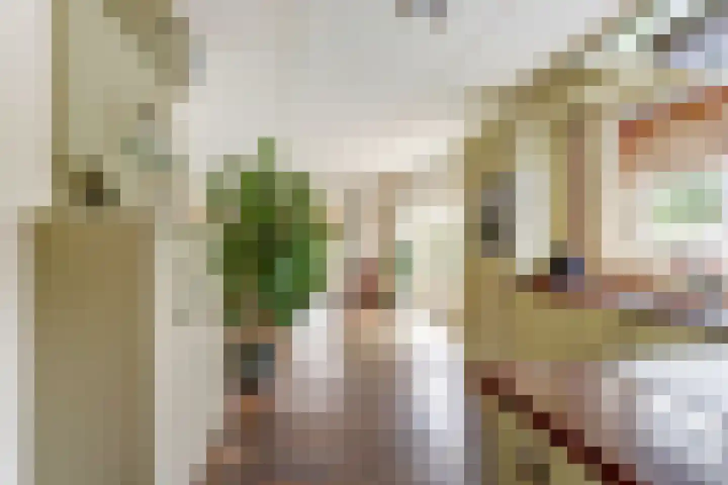 Poelruit 35 Buitenpost thumbnail 12