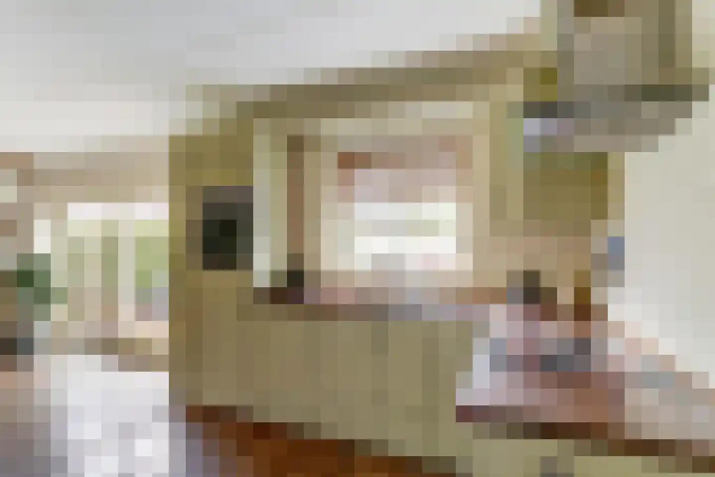 Poelruit 35 Buitenpost thumbnail 14