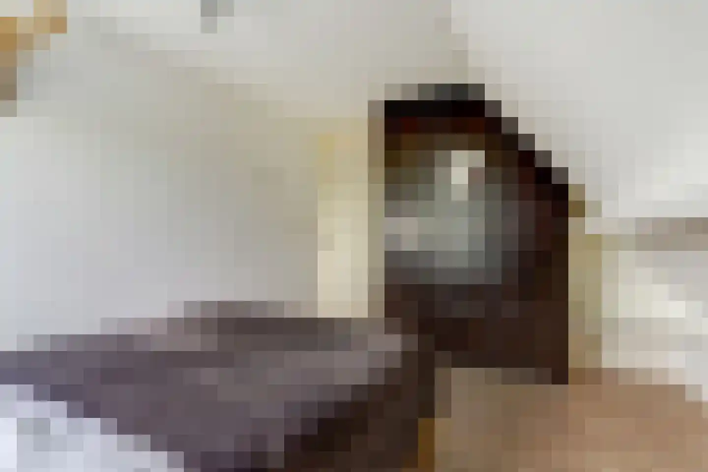 Poelruit 35 Buitenpost thumbnail 19