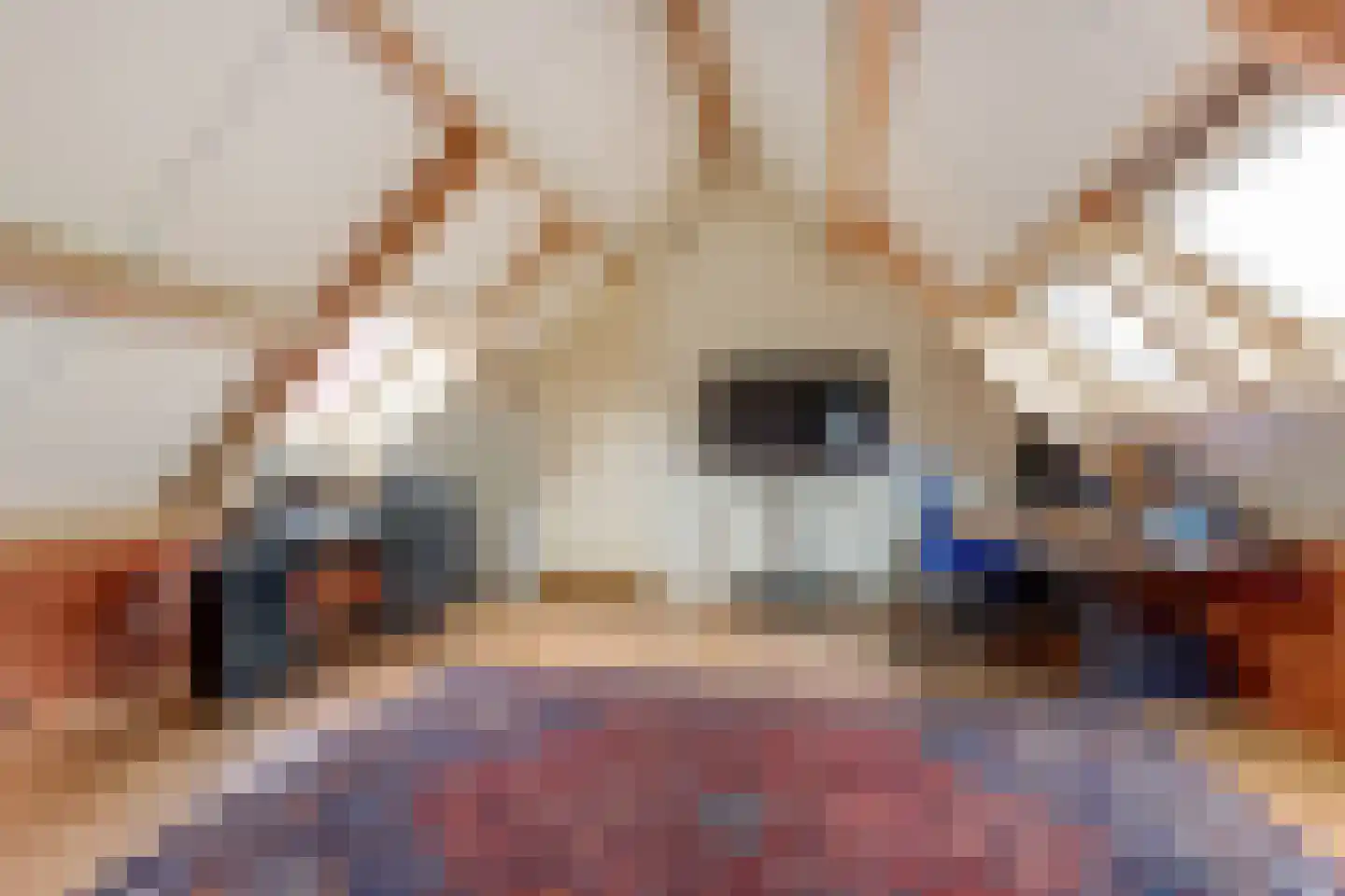 Poelruit 35 Buitenpost thumbnail 23