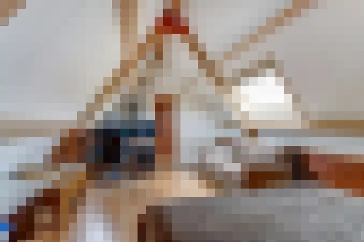 Poelruit 35 Buitenpost thumbnail 25