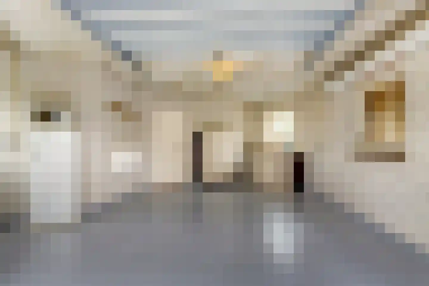 Poelruit 35 Buitenpost thumbnail 36