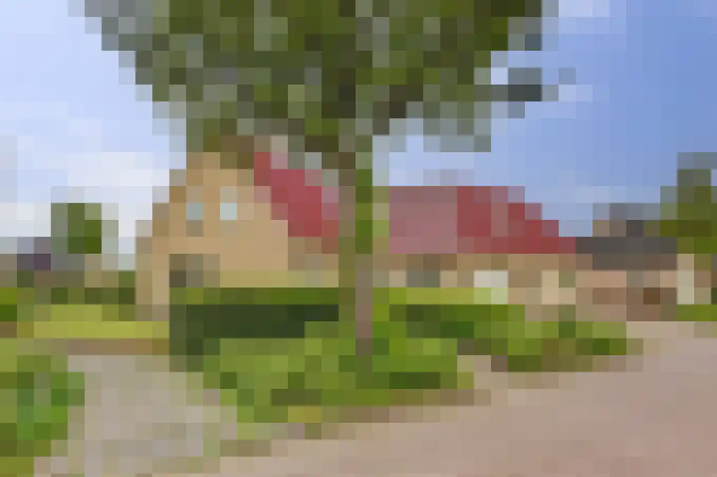 Poelruit 35 Buitenpost thumbnail 38