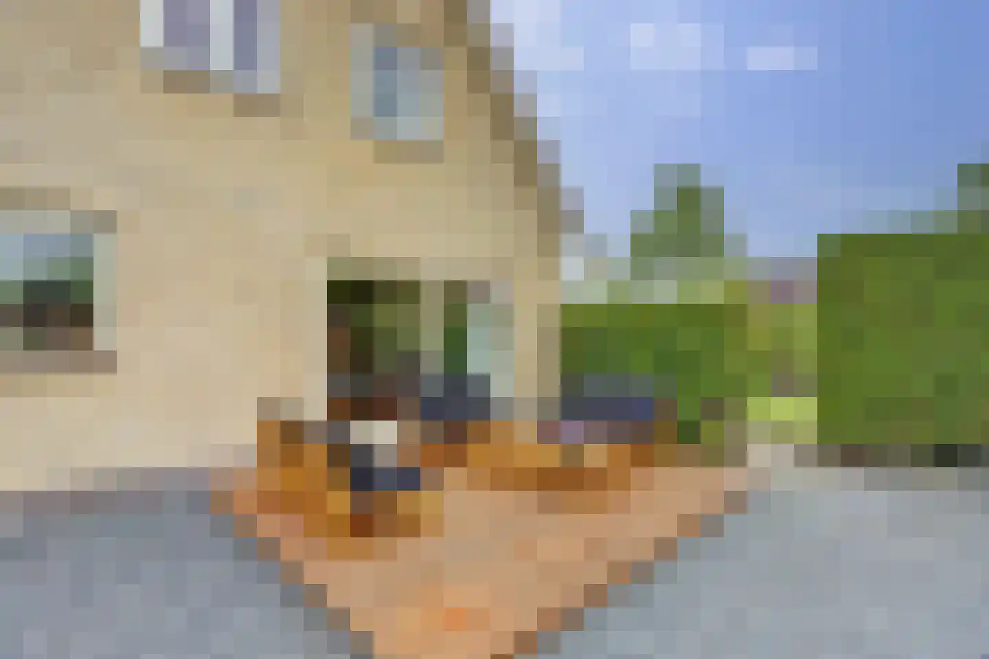Poelruit 35 Buitenpost thumbnail 43