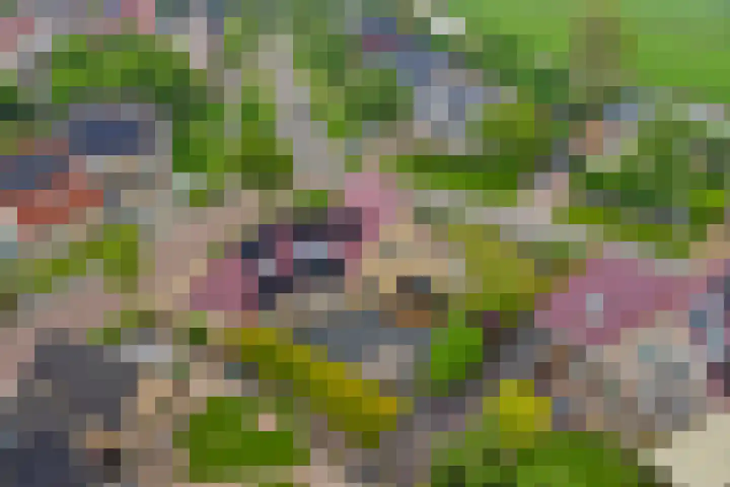 Poelruit 35 Buitenpost thumbnail 45