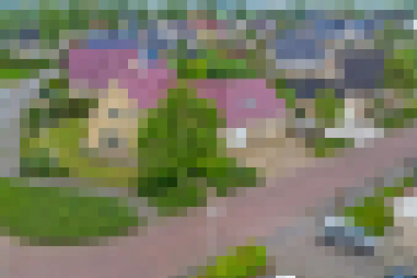 Poelruit 35 Buitenpost thumbnail 46