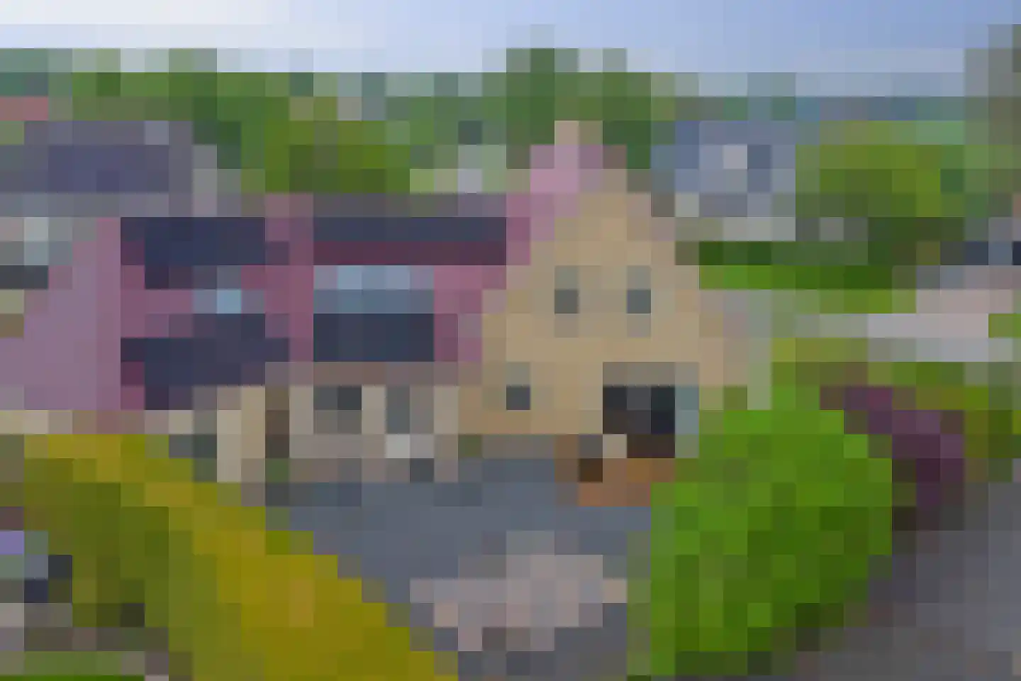 Poelruit 35 Buitenpost thumbnail 47