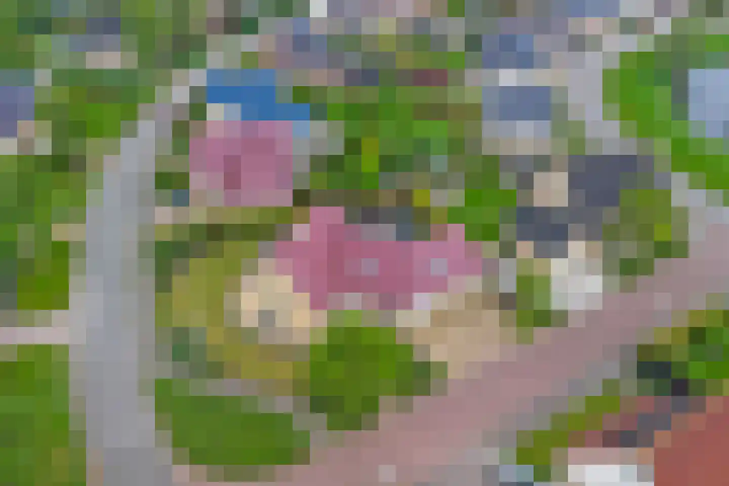 Poelruit 35 Buitenpost thumbnail 48