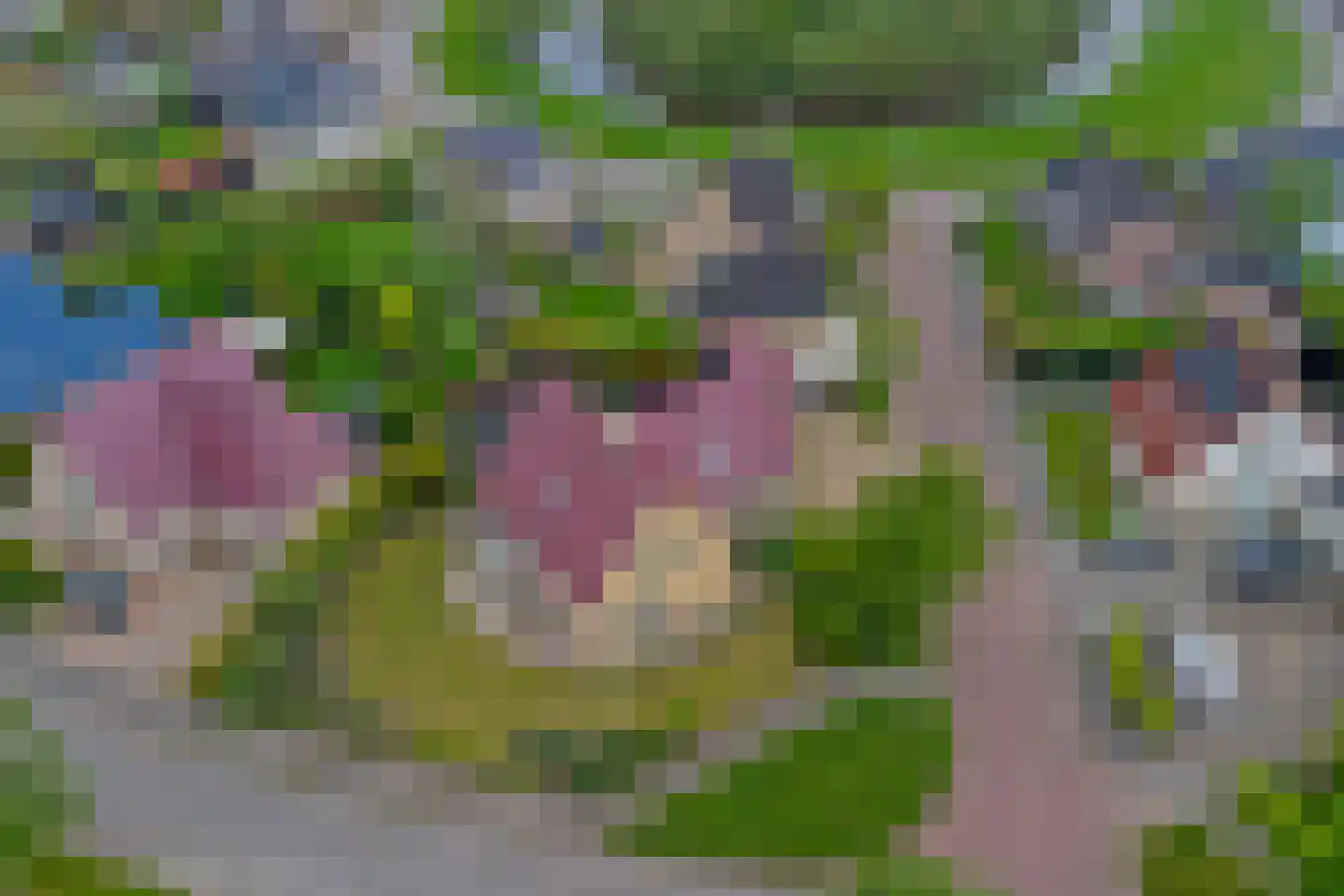 Poelruit 35 Buitenpost thumbnail 49