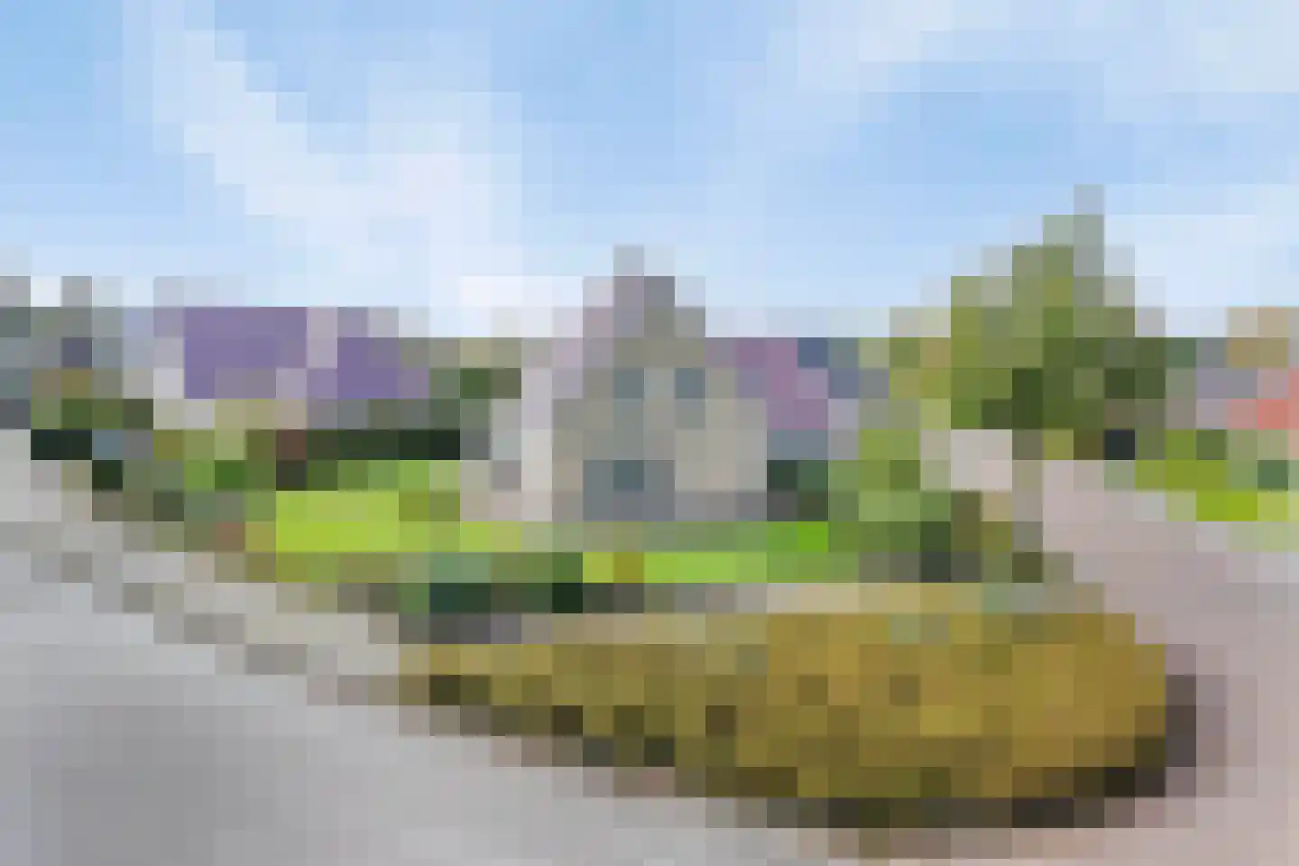Poelruit 35 Buitenpost thumbnail 59