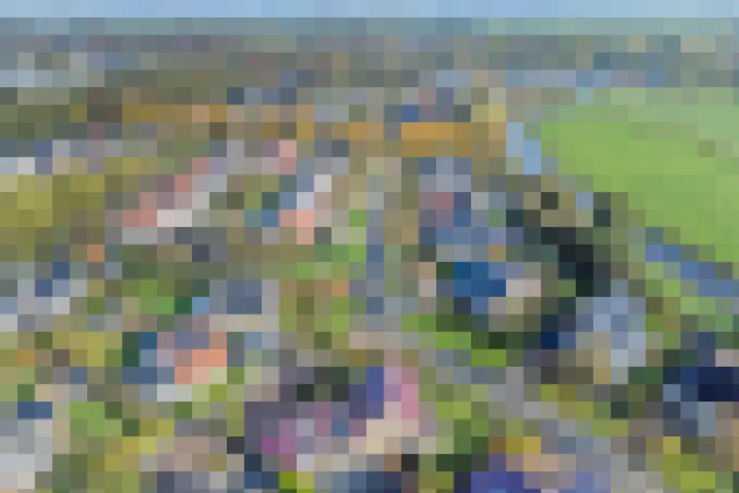 Poelruit 35 Buitenpost thumbnail 65
