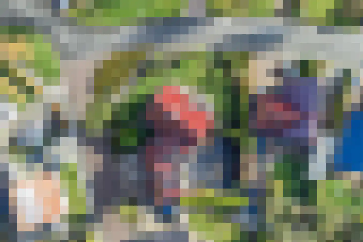 Poelruit 35 Buitenpost thumbnail 66