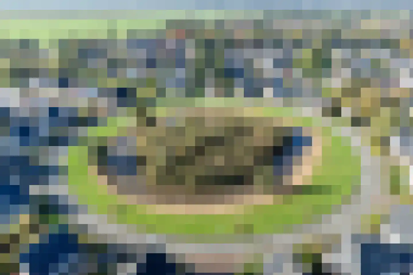 Poelruit 35 Buitenpost thumbnail 67
