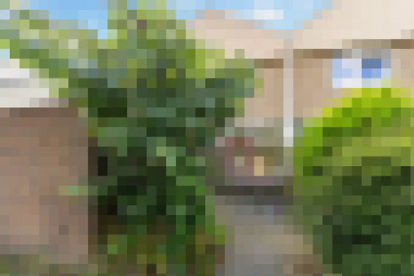 Poelruit 51 Leeuwarden thumbnail 6