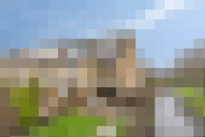 Poelruit 6 in Boskoop