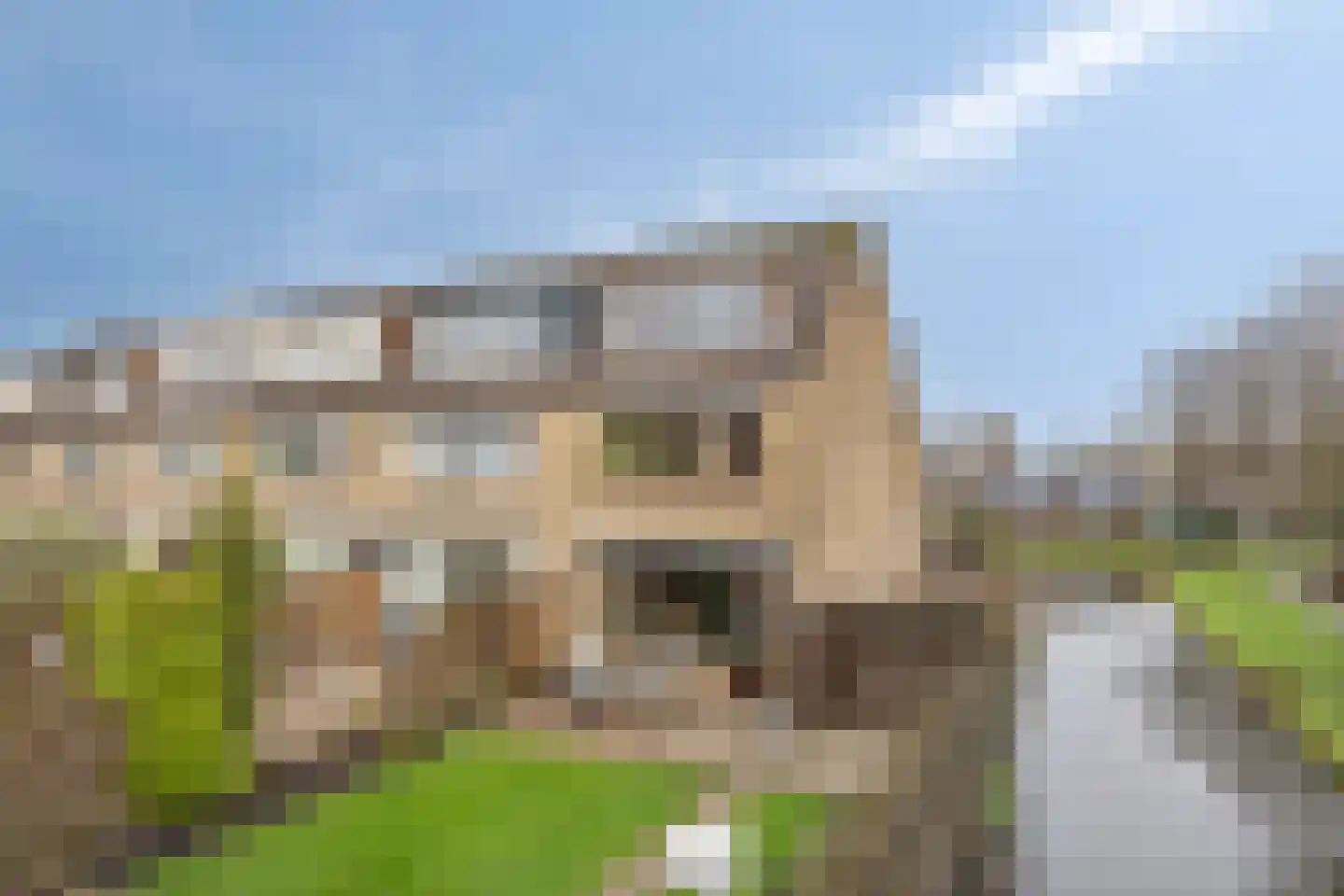 Poelruit 6 Boskoop