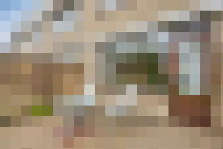 Poelruit 6 Boskoop thumbnail 22