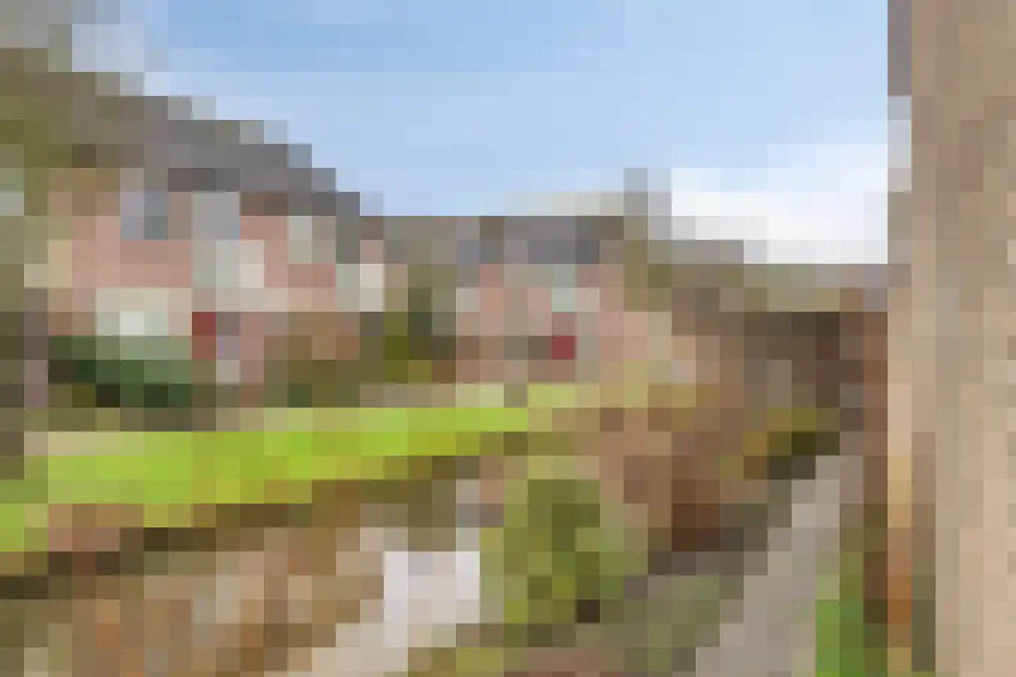 Poelruit 6 Boskoop thumbnail 26