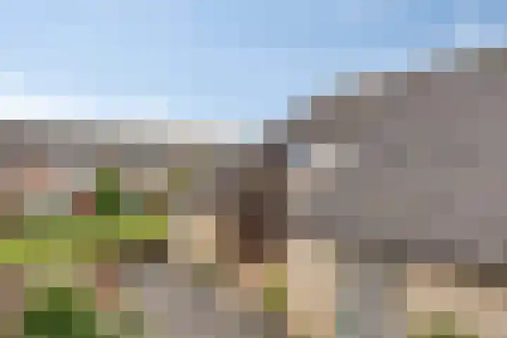 Poelruit 6 Boskoop thumbnail 27