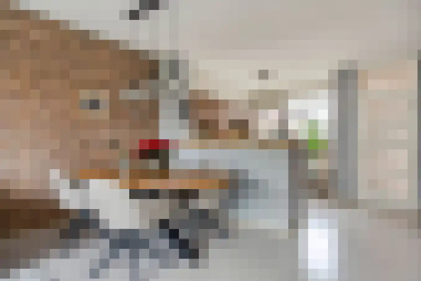 Poelruit 6 Boskoop thumbnail 7