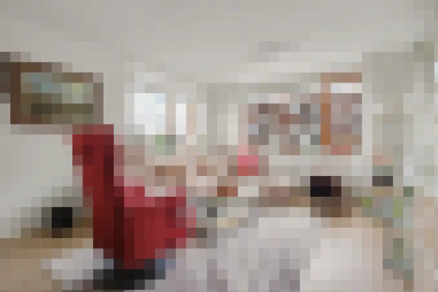 Poelruit 6 h Reeuwijk thumbnail 11