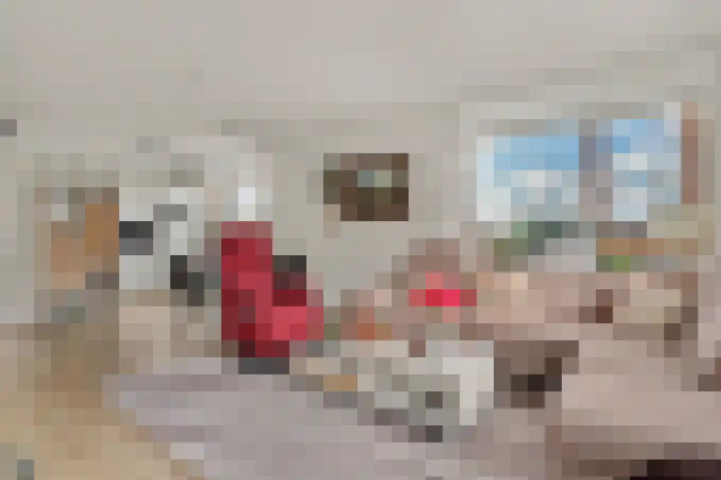 Poelruit 6 h Reeuwijk thumbnail 12