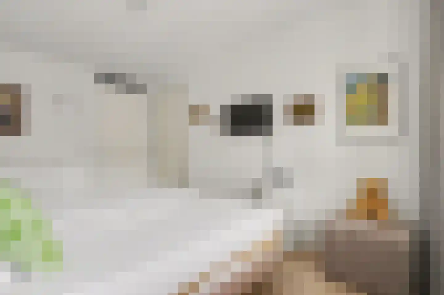 Poelruit 6 h Reeuwijk thumbnail 17