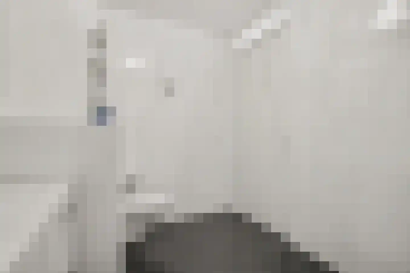 Poelruit 6 h Reeuwijk thumbnail 19