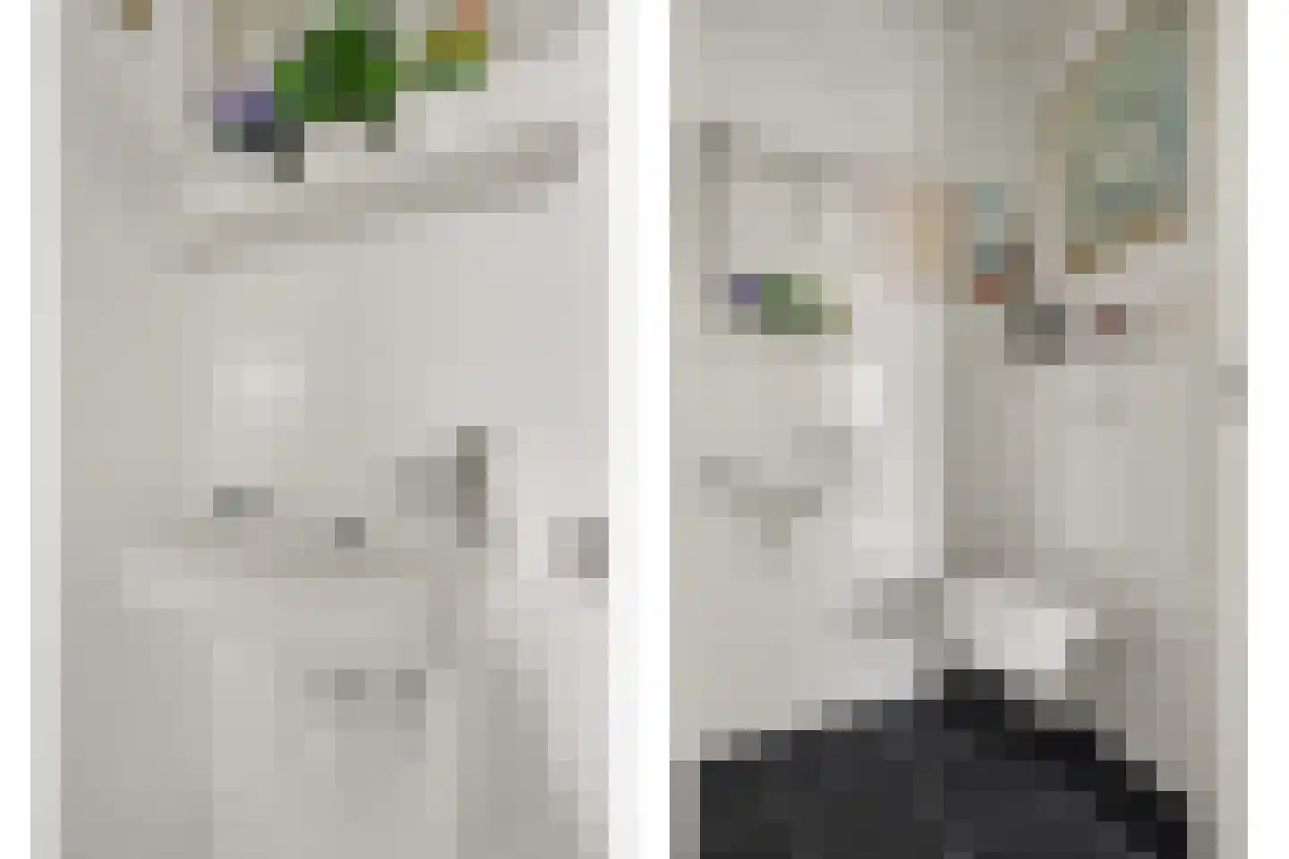 Poelruit 6 h Reeuwijk thumbnail 20