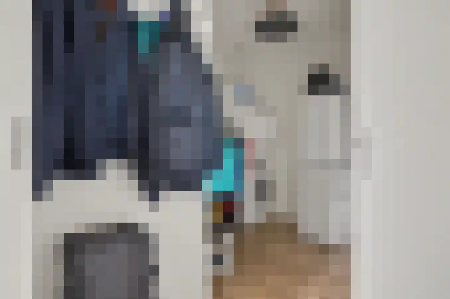 Poelruit 6 h Reeuwijk thumbnail 25