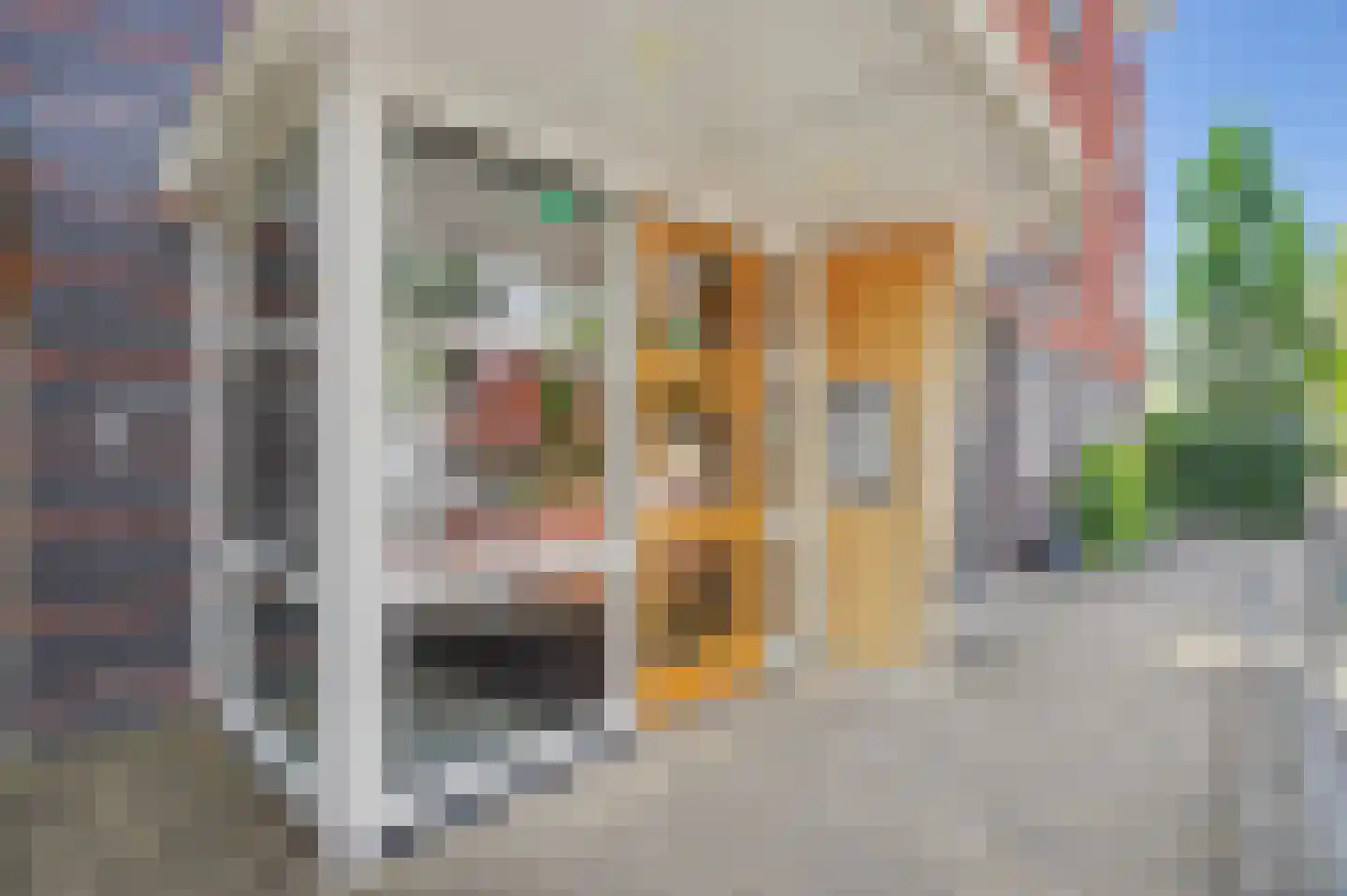 Poelruit 6 h Reeuwijk thumbnail 27