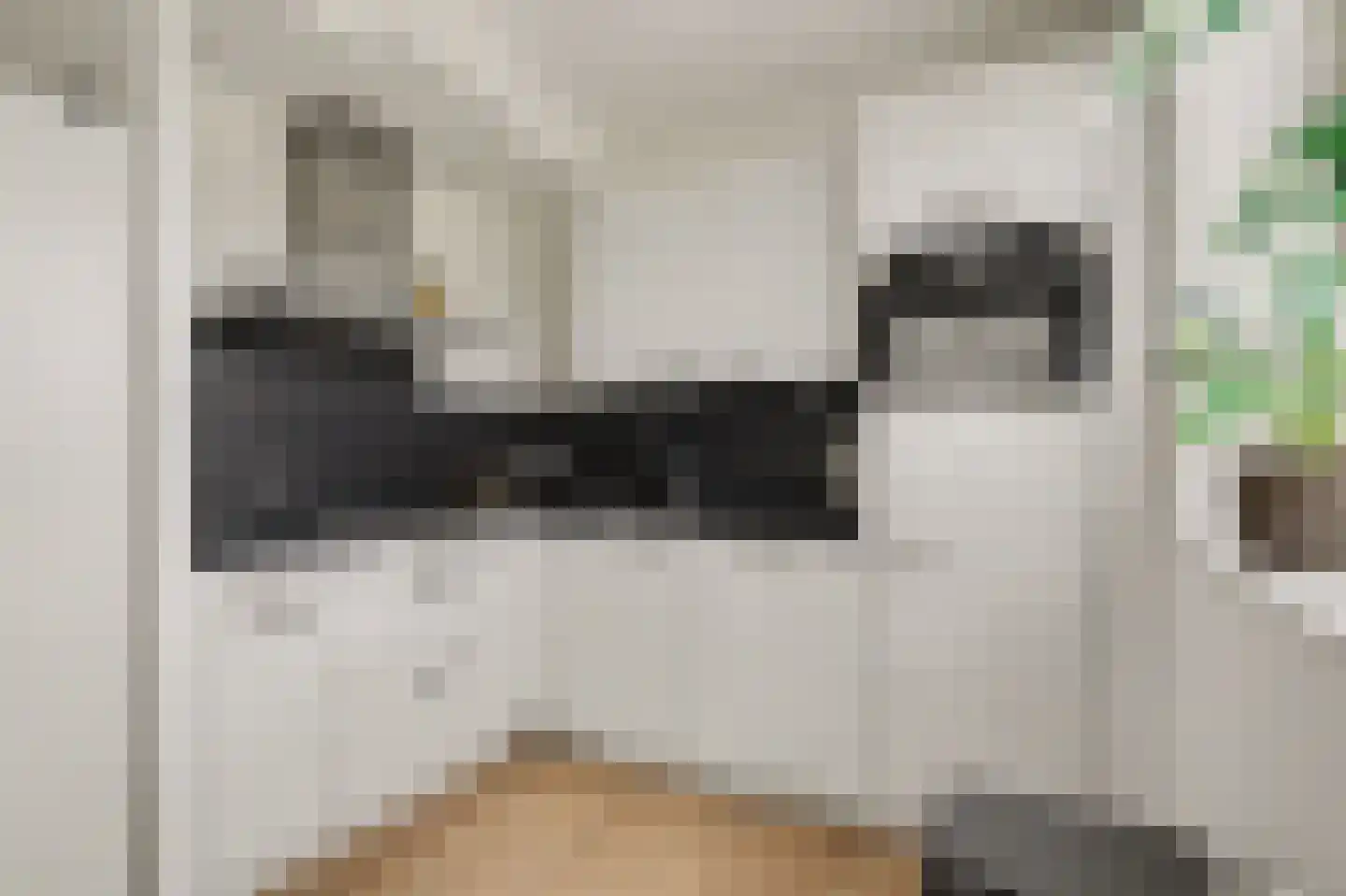 Poelruit 6 h Reeuwijk thumbnail 5